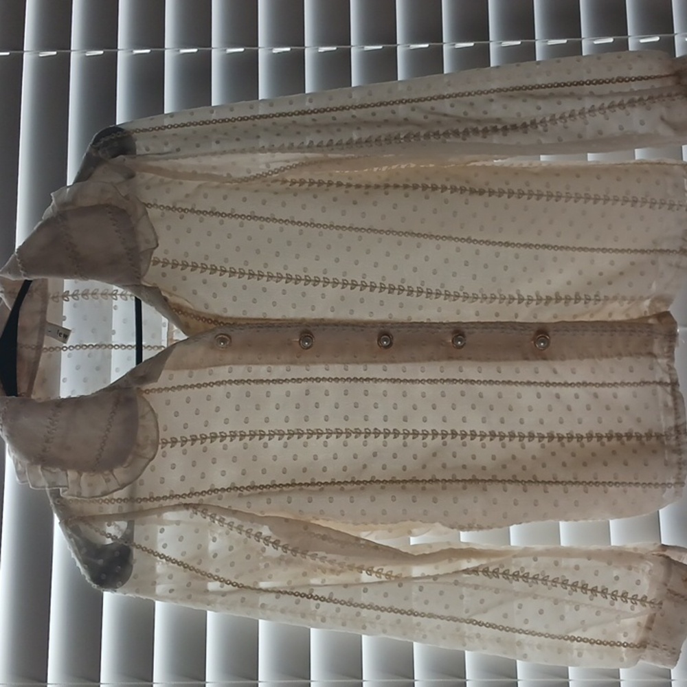 Nwot See-Through Long Sleeve Polka Dot Blouse